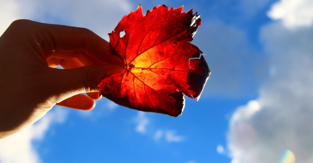 Cele 12 legi ale karmei care iti vor schimba viata