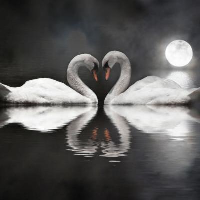 Ce este dragostea? Definitii faimoase, vechi de 400 de ani, care va vor ajunge la inima