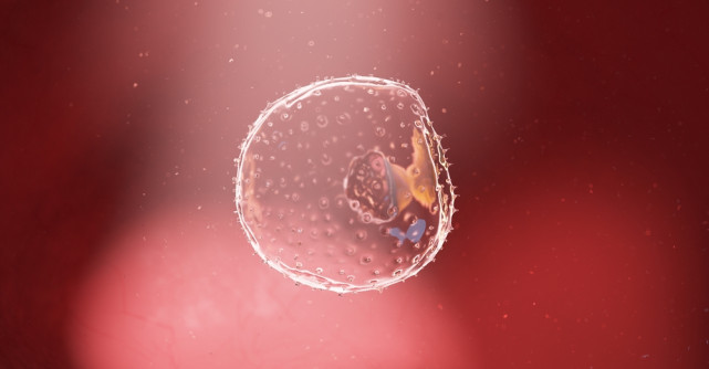 5 lucruri pe care să le faci înainte de FIV ca să fii pregătită din toate punctele de vedere