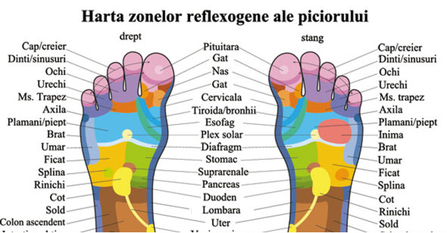 Mesajele ASCUNSE din talpa: descopera zonele-OGLINDA ale organelor