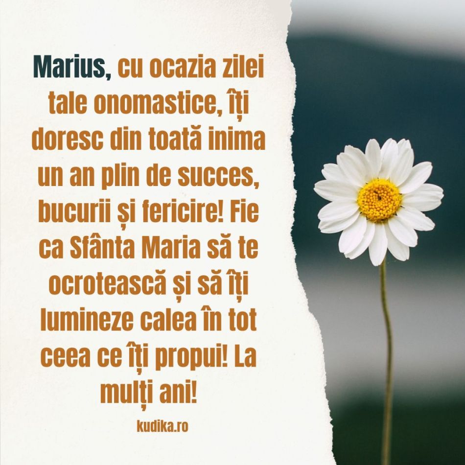 Adormirea Maicii Domnului (15 august) și Sf. Maria Mică (8 august). Când spunem La mulți ani? Diferențe și semnificații