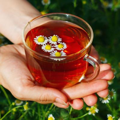 CANDIDOZA: 7 Ceaiuri medicinale cu efecte vindecatoare