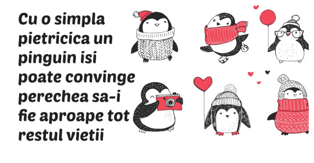 30 de lucruri care ne demonstreaza ca viata este minunata