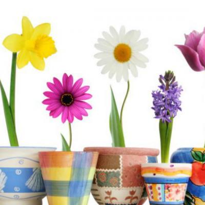 Foto: Un oras din Romania a fost desemnat Capitala Earth Hour 2014