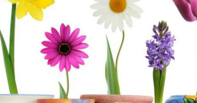 Foto: Un oras din Romania a fost desemnat Capitala Earth Hour 2014