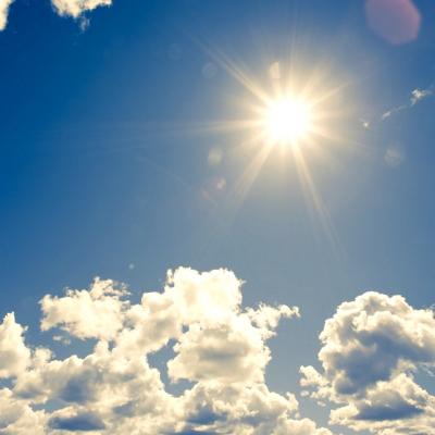 4 surse naturale de vitamina D pentru o sanatate de fier