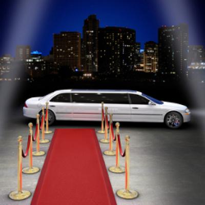 Tinutele vedetelor la premiile Grammy 2011