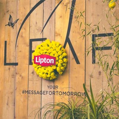 Gasca Lipton Ice Tea a dat #verdelamuzica la Tomorrowland. Afla cum s-au distrat