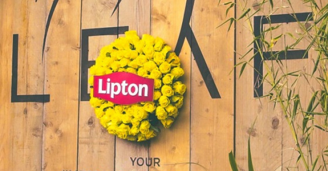 Gasca Lipton Ice Tea a dat #verdelamuzica la Tomorrowland. Afla cum s-au distrat