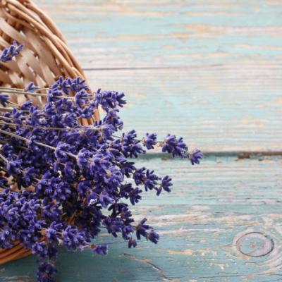 Plantele care te ajută să dormi mai bine