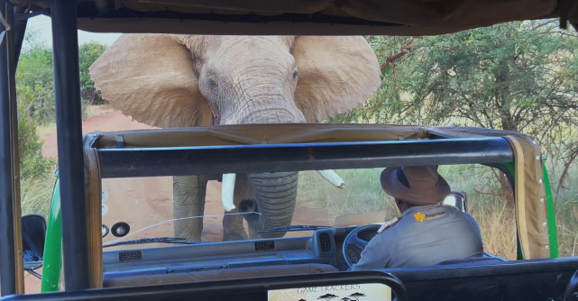 Noutățile lunii septembrie de la National Geographic & National Geographic Wild 