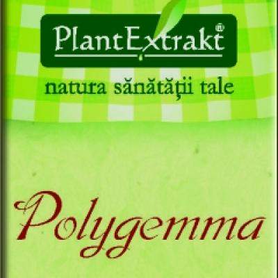 Polygemma, o noua gama de produse PlantExtrakt - sanatate de la natura 