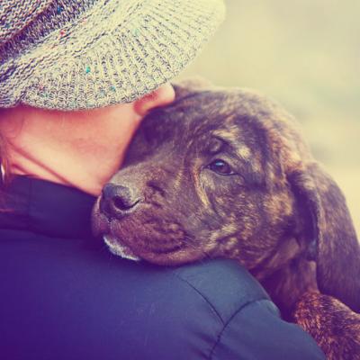 Si-a mintit fiul ca duce cainele familiei la o plimbare. Ce a urmat? Mi-au dat lacrimile