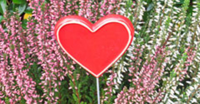 9 schimbari mici prin care putem regasi fericirea mare!