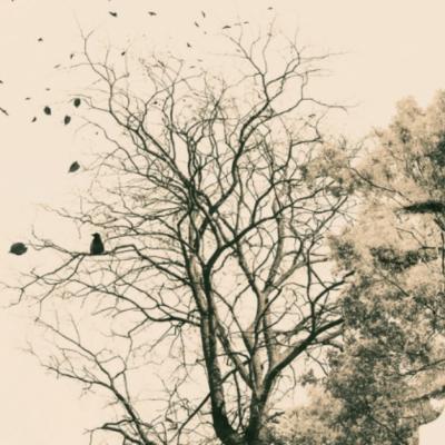 Lucrurile pe care le vrei nu sunt intotdeauna lucrurile de care ai nevoie