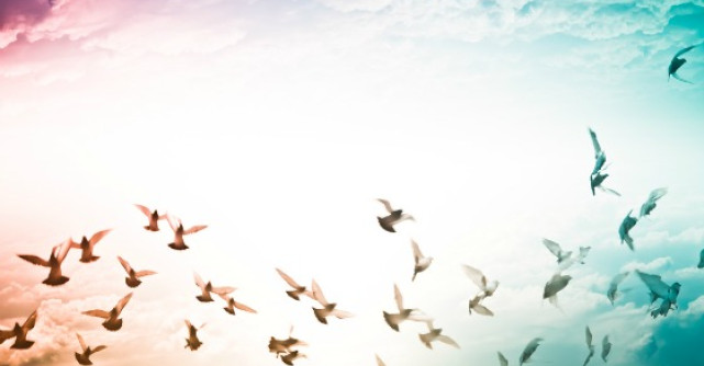 Poezie care inlatura nesiguranta si anxietatea