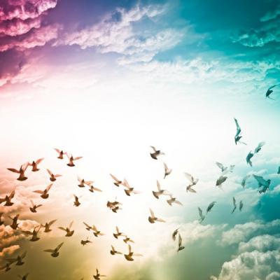 Poezie care inlatura nesiguranta si anxietatea