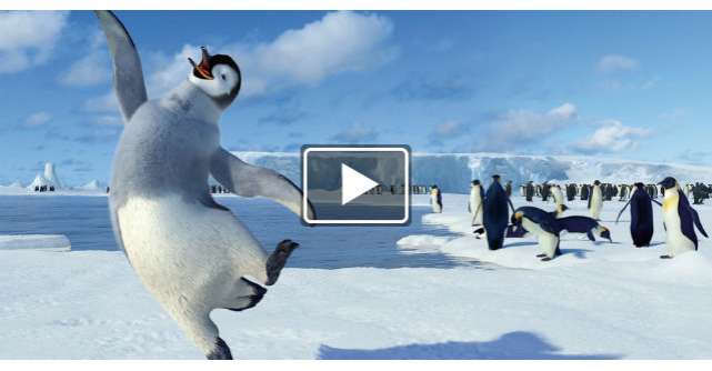 Video: Pinguinul care se bucura de venirea sarbatorilor. Fericirea lui este molipsitoare