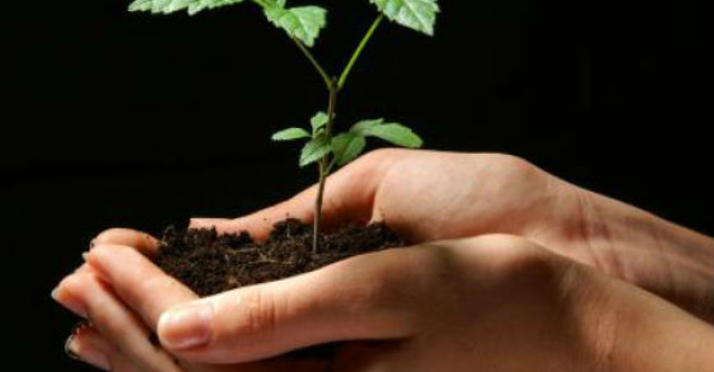 10 Remedii BIO pentru detoxifierea si cresterea tonusului organelor interne