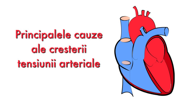 Practic: Cum iti masori singur Tensiunea Arteriala si ce ar trebui sa stii despre valorile acesteia