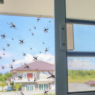 Cum te poți proteja de insecte vara aceasta