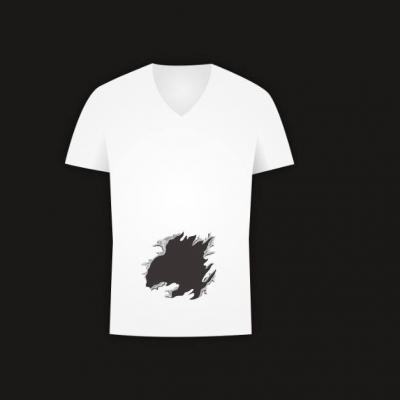 Nimeni nu a reusit sa dea raspunsul corect. Tu iti dai seama cate gauri are acest tricou?