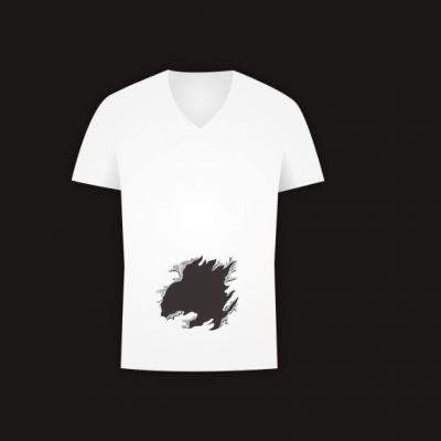 Nimeni nu a reusit sa dea raspunsul corect. Tu iti dai seama cate gauri are acest tricou?