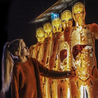 Expoziția Originală BODY WORLDS anunță prima sa prezentare în București, România