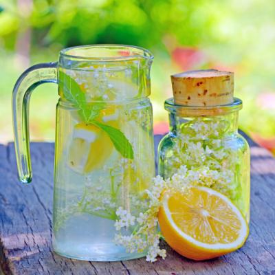 Reteta lunii mai: Socata, ajutorul magic in curele de slabire