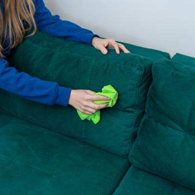 Bicarbonatul de sodiu - aliatul tău împotriva ploșnițelor