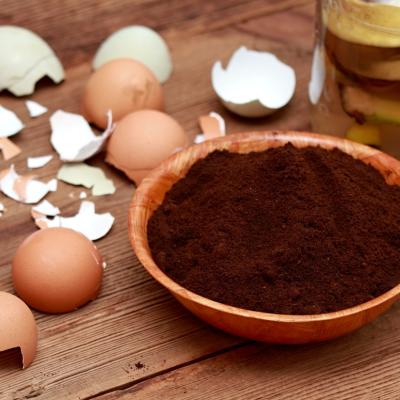 Îngrășământ natural pentru plante de apartament: banană, cafea și coajă de ou pentru plante mai viguroase