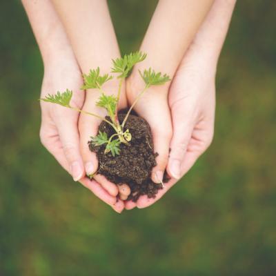 Vibratia saptamanii: Samanta si Pamant