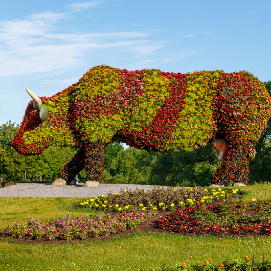 Știați că există o capitală europeană a vacuțelor? Descoperă statutele inedite din orașul Ventspils – GALERIE FOTO