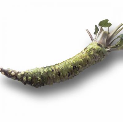 Radacina ROMANEASCA: uimitoarele beneficii ale HREANULUI