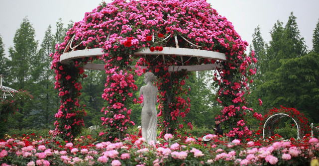 Top 10 cele mai frumoase grădini de trandafiri din lume