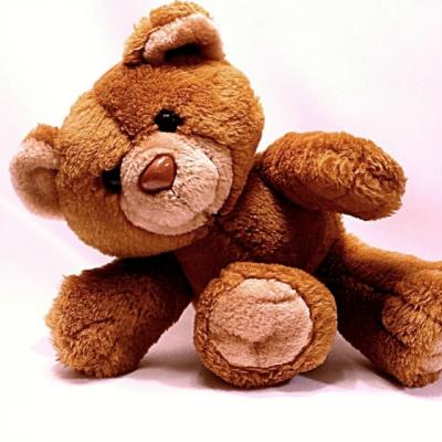 Campania Jucariilor de Plus a ajuns la Muzeul National de Istorie Grigore Antipa