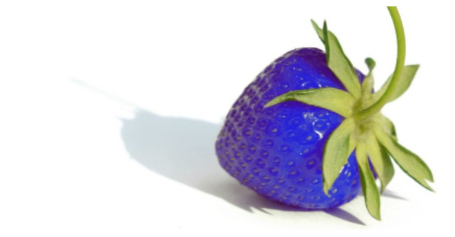 Capsunile albastre: mit sau realitate?