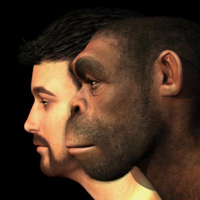 9 curiozitati pe care nu le stiai despre tine!