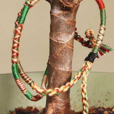 1 milion de copaci noi pentru România. O brățară, un copac.