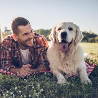 Ce trebuie să știi înainte de a-ți lua un animal de companie