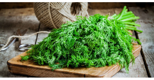 Zece lucruri pe care nu le stiai despre marar. Ce afectiuni trateaza?