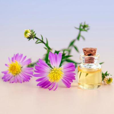 3 tipuri de parfumuri pe care le poti folosi zilnic pentru o stare buna de spirit
