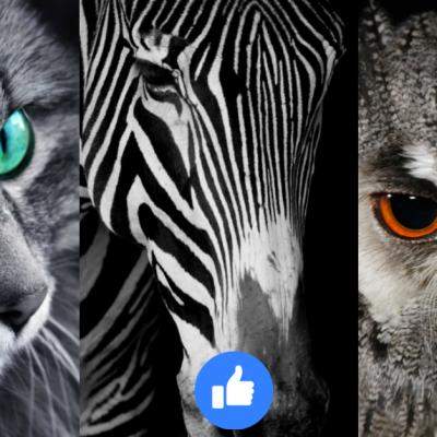 Alege o imagine și află de ce duce lipsă sufletul tău 