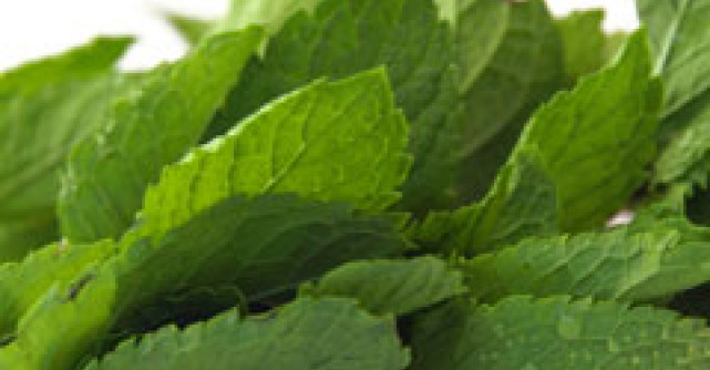 Practic: Cum sa scapi de respiratia urat mirositoare in mod naturist