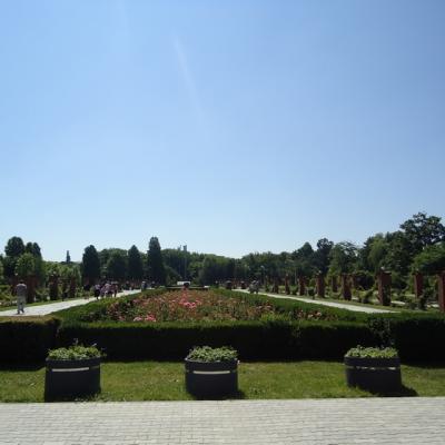 Romprest sustine Ziua Mondiala a Mediului