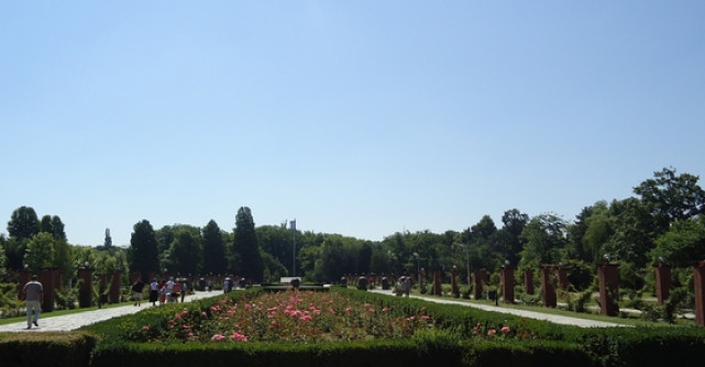 Romprest sustine Ziua Mondiala a Mediului