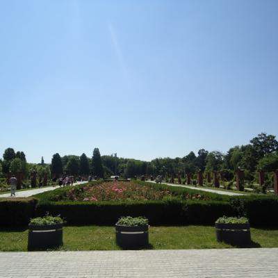 Romprest sustine Ziua Mondiala a Mediului