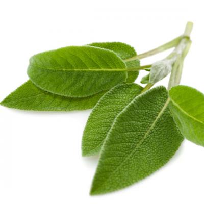 Aceasta PLANTA te intinereste10 ANI! Este bogata in antioxidanti si vitamine