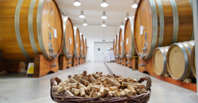 Escapadă de toamnă în Dealu Mare