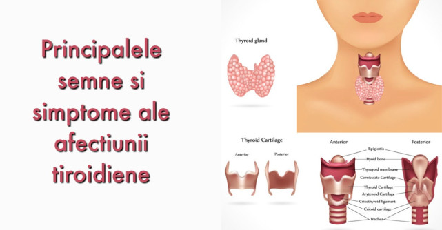 Cum iti dai seama ca ai probleme cu TIROIDA